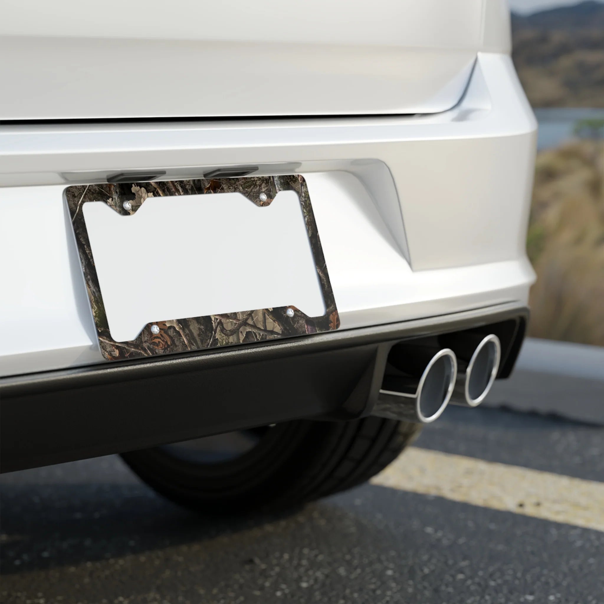 License Plate Covers