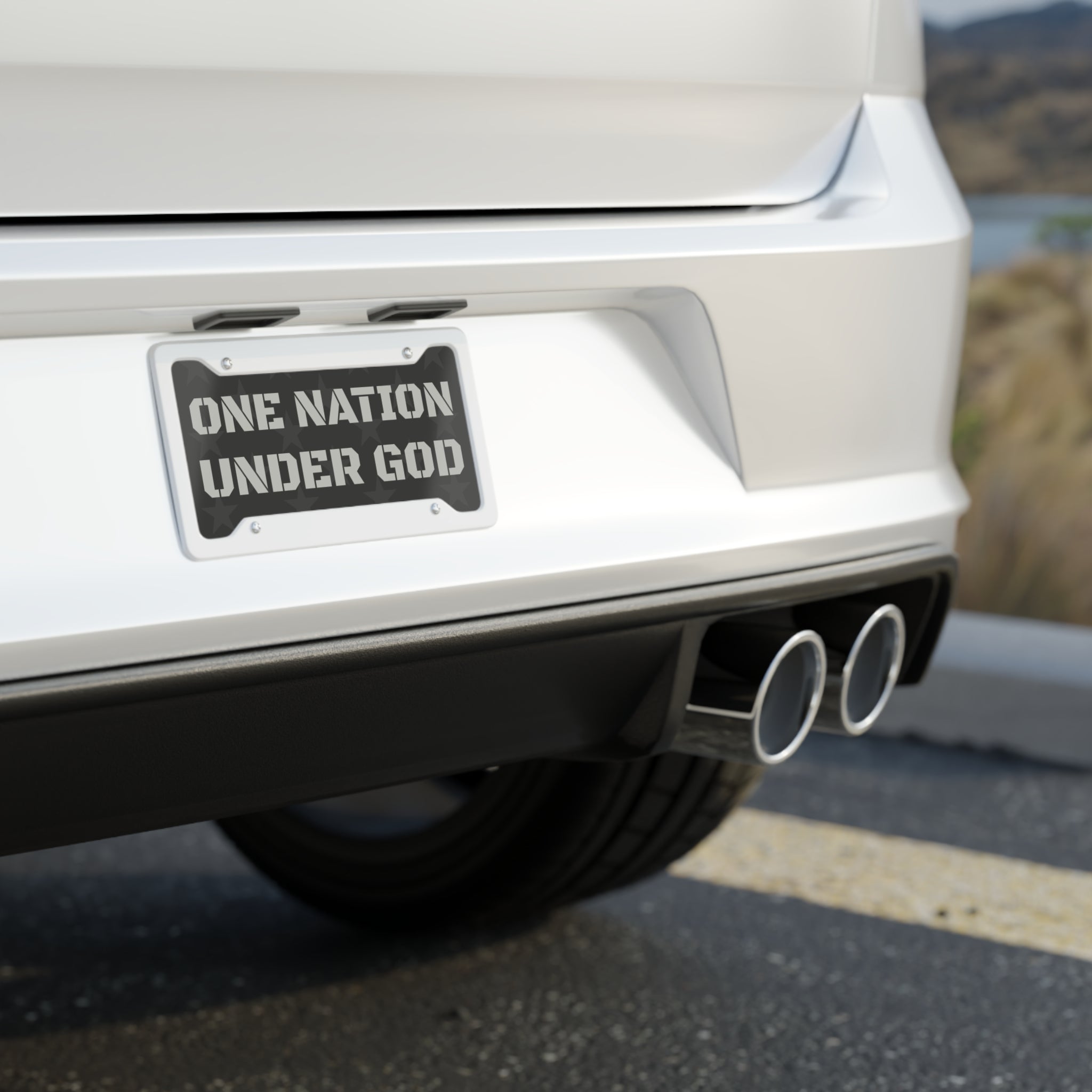 Patriotic License Plate